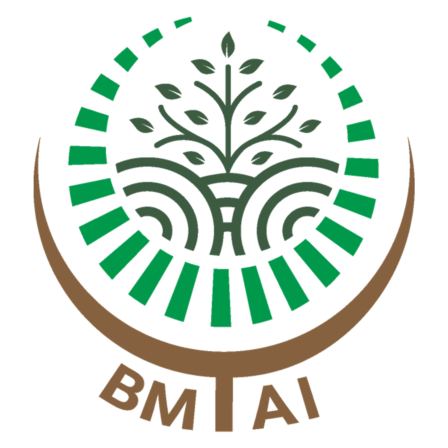 LOKER CIREBON PT BMT ASIA INDONESIA TERBARU 2024 SEBAGAI FINANCE AND ACCOUNTING STAFF