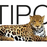 PT MULTIPOLAR TECHNOLOGY TBK