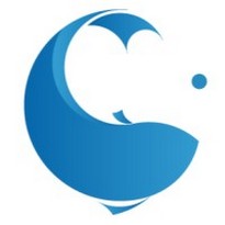 LOKER JAKARTA SELATAN PT BIG FISH HUNTER TERBARU 2024 SEBAGAI VISA OPERATIONS OFFICER