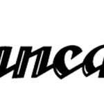 PT PANCA INFOSOFT PIONIR INDONESIA