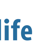 PT CORDLIFE PERSADA