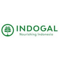 LOKER CIREBON PT INDOGAL AGRO TRADING TERBARU 2025 SEBAGAI ACCOUNTING AND TAX SENIOR STAFF