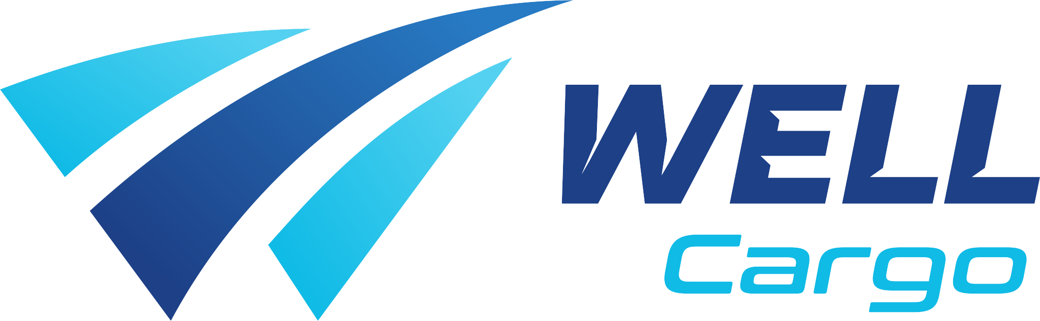LOKER SURABAYA PT WELL KARGO INDONESIA TERBARU 2025 SEBAGAI BRANCH MANAGER FREIGHT FORWARDING