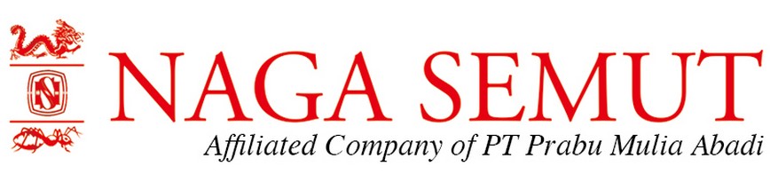 LOKER JAWA TENGAH PT NAGA SEMUT TERBARU 2025 SEBAGAI WAKIL KEPALA PRODUKSI