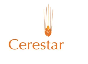 LOKER GRESIK PT CERESTAR INDONESIA TBK TERBARU 2025 SEBAGAI ELECTRICIAN