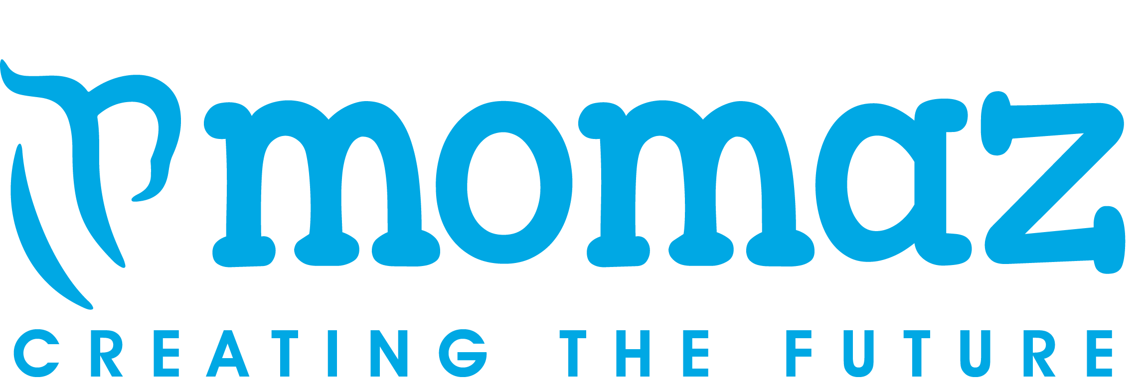 LOKER BANDUNG PT MOMAZ KREASI INDONESIA TERBARU 2025 SEBAGAI MANAGER SALES COMMUNITY AND ONLINE CHANNEL