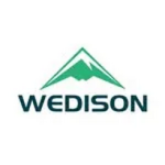 PT WEDISON GREEN ENERGY GROUP